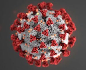 coronavirus-virus
